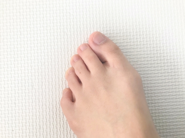 ヒルナンデス ワークマンの外反母趾サポーター つるつるかかと靴下 指ぐっぱソックスを紹介 トレンドチャンネル