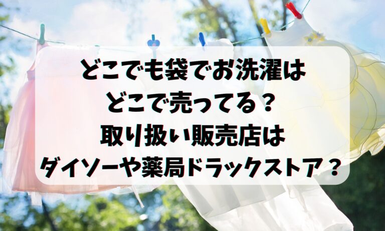 どこでも袋でお洗濯はどこで売ってる？販売店はダイソーや薬局ドラックストア？